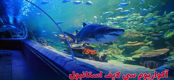 عکس آکواریوم استانبول