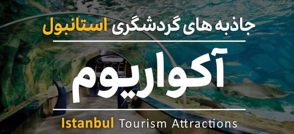 عکس آکواریوم استانبول