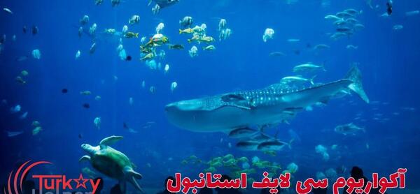 عکس آکواریوم استانبول