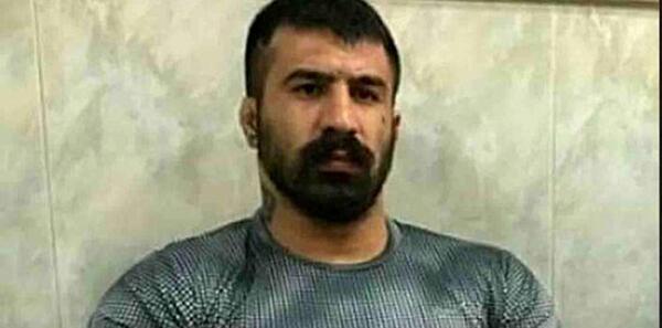 عکس قاتل وحید مرادی
