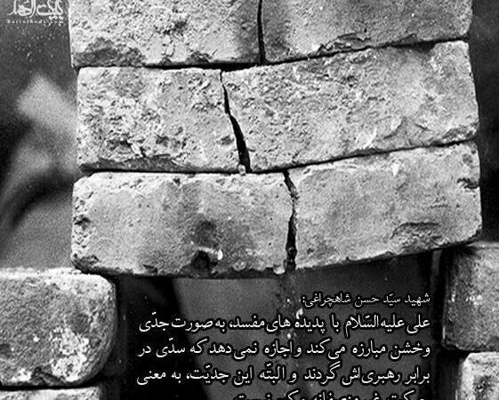 عکس نوشته های ضد انقلابی