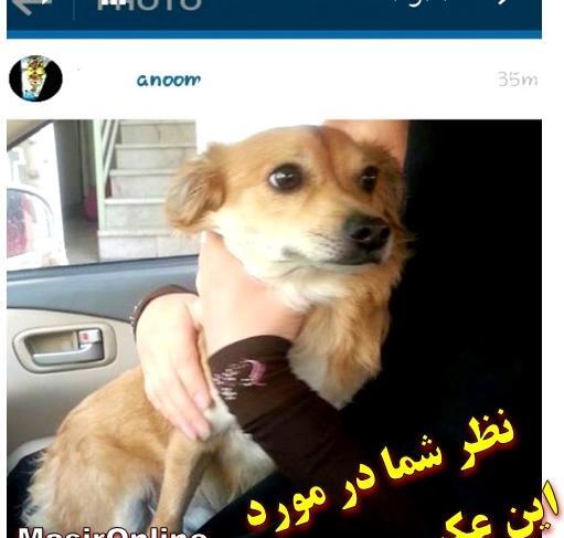 عکس چیست