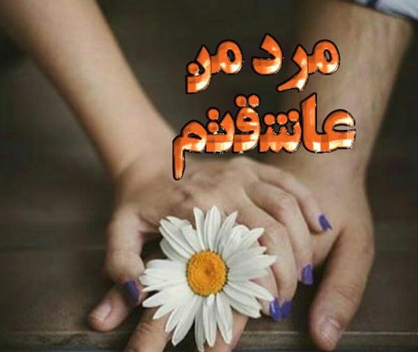 عکس نوشته علیرضا عاشقتم