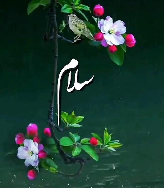 عکس نوشته سلام صبح دوشنبه تون بخیر