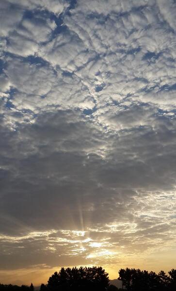 عکس فیک صبح