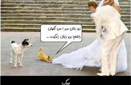 عکس ساده خنده دار