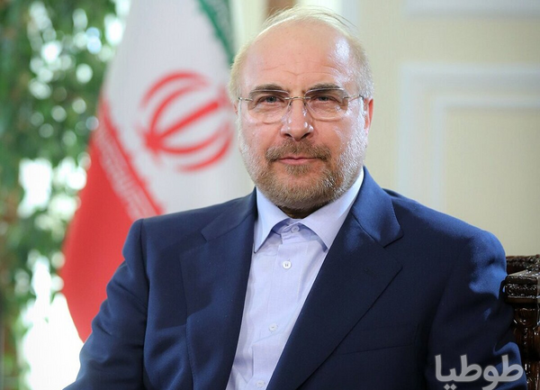 عکس قالیباف