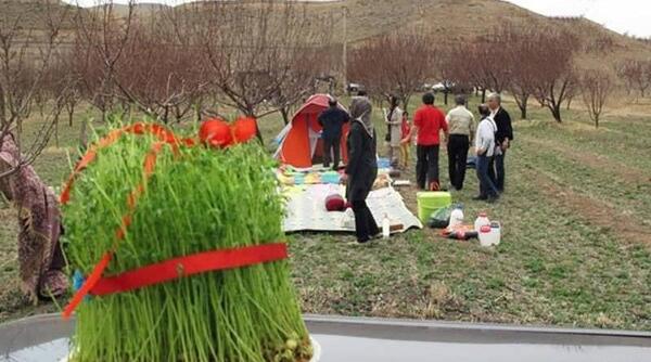 عکس گره زدن سبزه عید