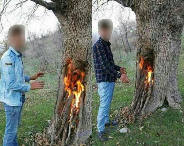 عکس گره زدن سبزه عید