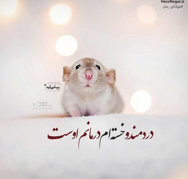 عکس نوشته باحال درباره مدرسه