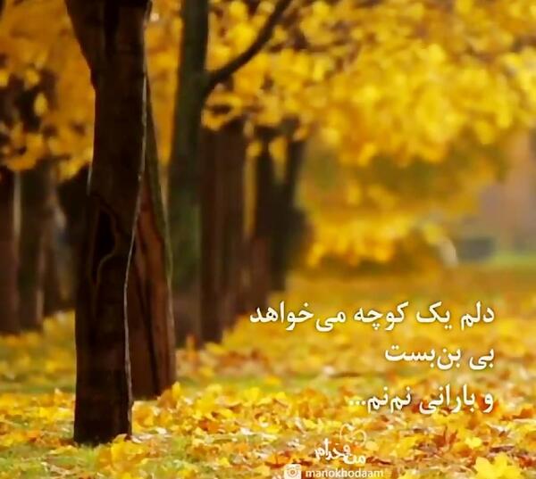 عکس استوری پاییزی زیبا