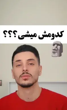 عکس خرگوش آلمانی