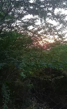 عکس نوشته داریخیرام الله