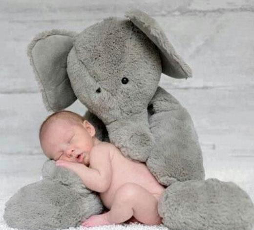 عکس نوزاد با عروسک