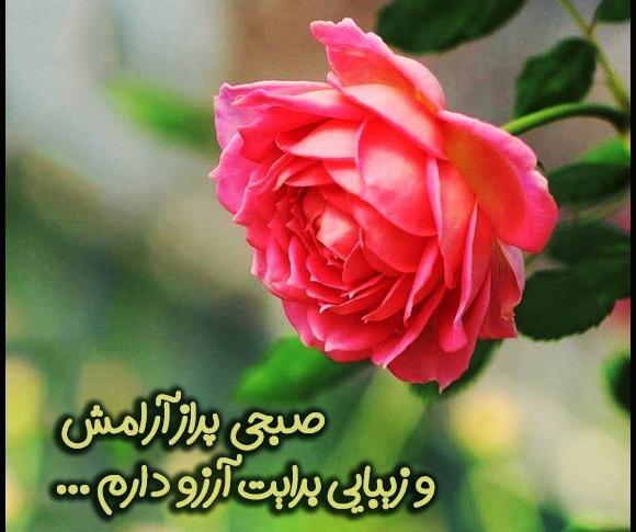 عکس نوشته صبح بخیر خاص