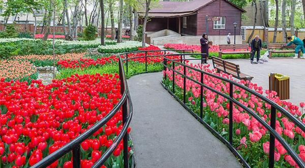 عکس جاهای دیدنی تهران
