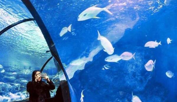 عکس جاهای دیدنی تهران