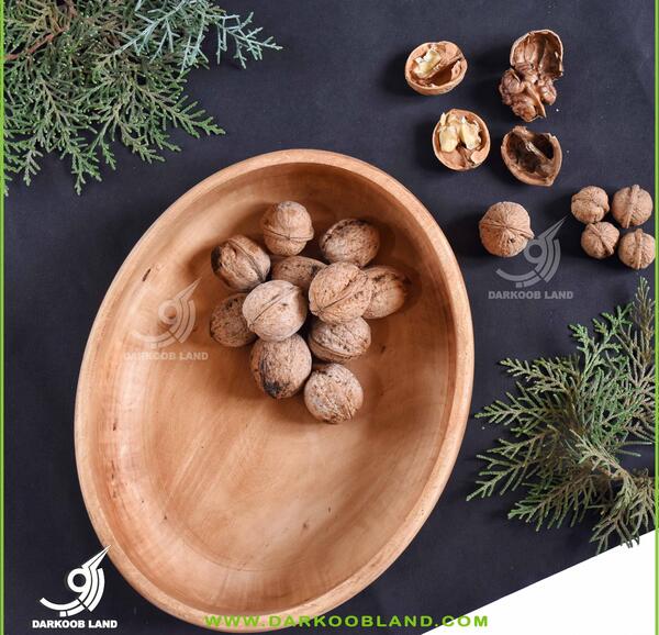 عکس ظرف زودپز