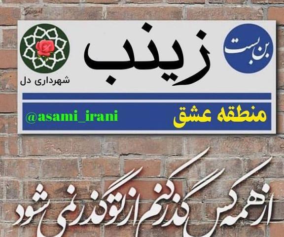عکس نوشته زینب دوستت دارم