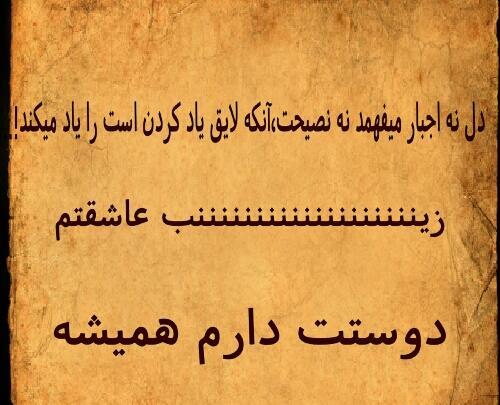 عکس نوشته زینب دوستت دارم
