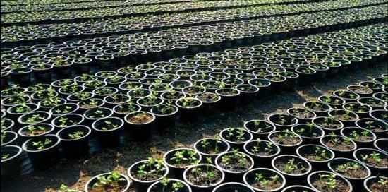 چگونه عکس فتوشاپ را تشخیص دهیم