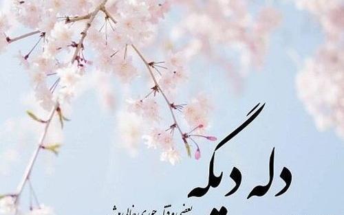 عکس استوری امیدواری