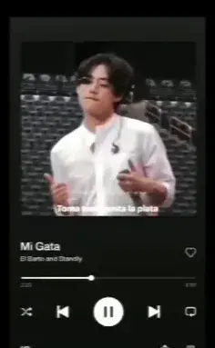 عکس ببر جذاب