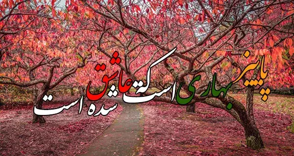 عکس منظره دونفره