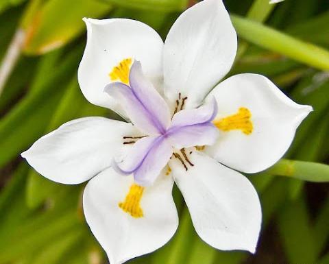 عکس کلبه منظره
