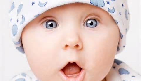 عکس آکواریوم لاک پشت