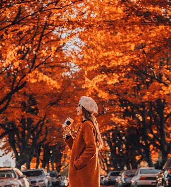 عکس کتاب پاییزی برای پروفایل
