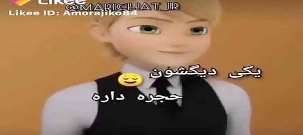 عکس فانتزی کت نوار