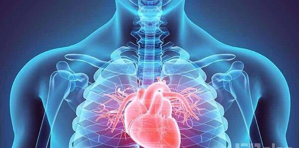 عکس قلب انسان باز شده