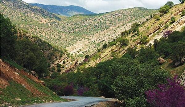 عکس زیبا از طبیعت ایلام