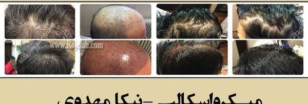 عکس تالار پذیرایی زمرد