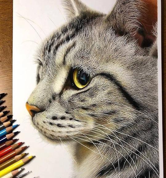 عکس ایده برای نقاشی با مداد رنگی ساده