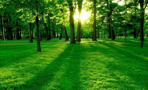 عکس های طبیعت استانبول