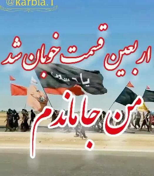 عکس جاماندهای اربعین