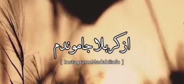 عکس جاماندهای اربعین