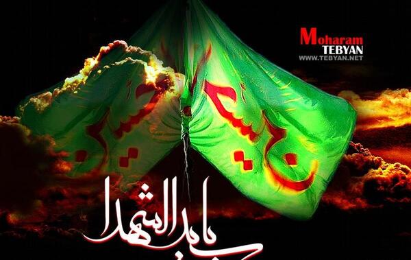عکس های شهادت حضرت معصومه
