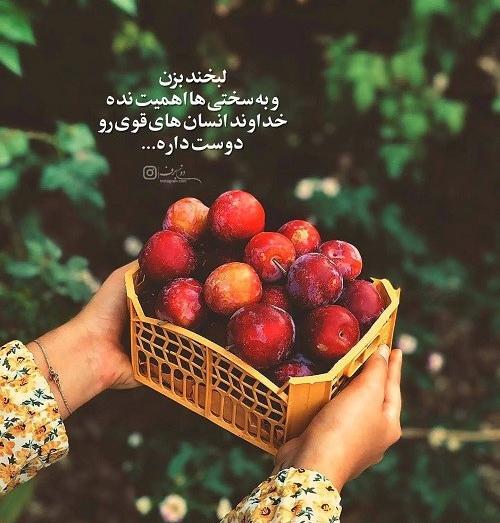 ویدیو عکس نوشته برای وضعیت واتساپ