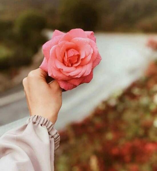 عکس پروفایل زیبا دخترانه گل