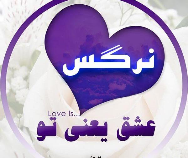 عکس نوشته حسن و نرگس