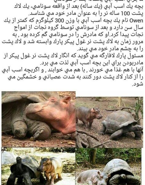 عکس صادق هدایت نویسنده