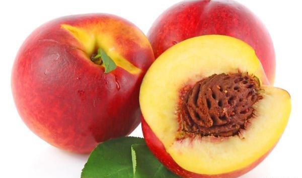 عکس نیسان و سینان در عشق اورژانسی