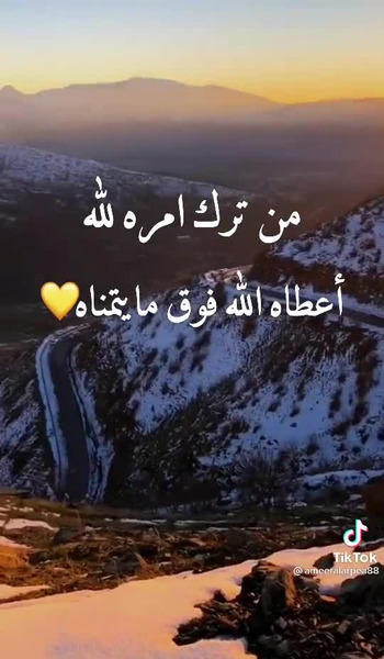 عکس استوری واتساپ ویسگون