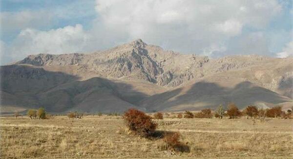 عکس مار آتشی