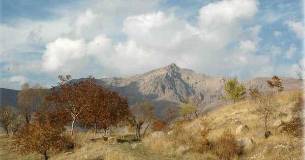 عکس مار آتشی