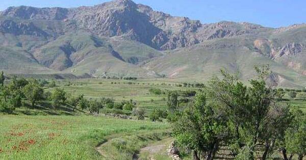 عکس مار آتشی