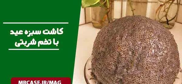 عکس سبزه تخمه شربتی
